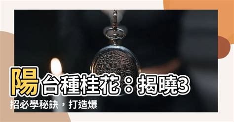 陽台種桂花風水